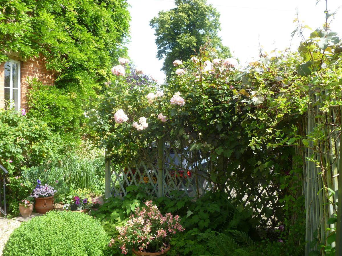 Laurel House Bed & Breakfast Cheltenham Exterior photo